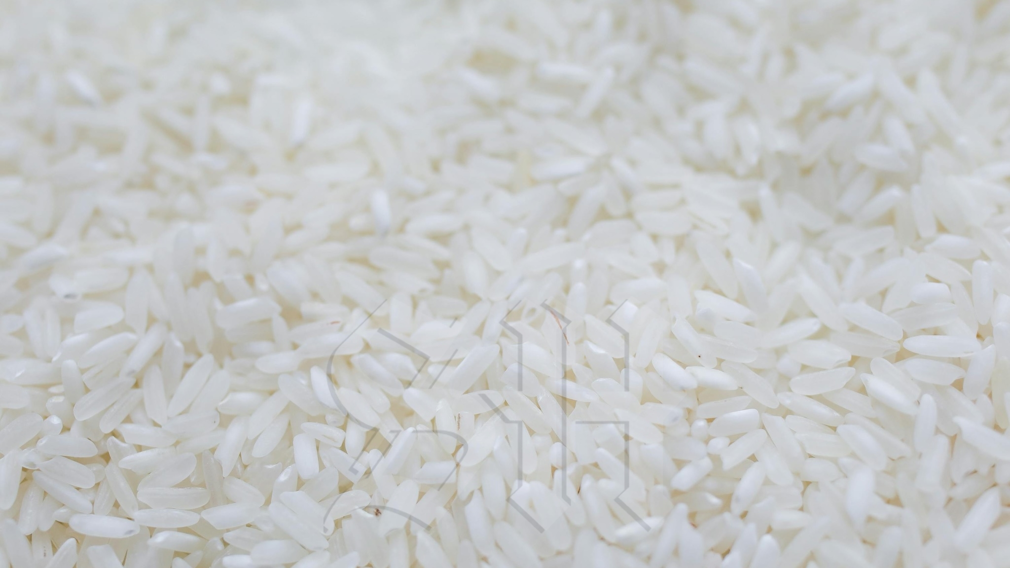 Description or Alt Text