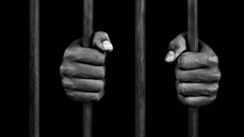 Description or Alt Text