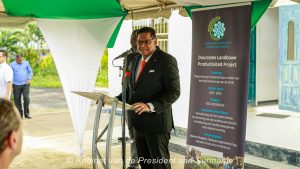 Description or Alt Text