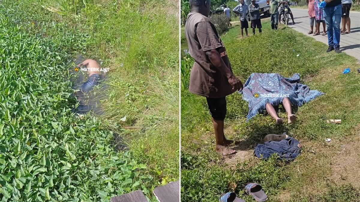 Description or Alt Text