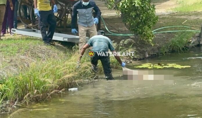 Description or Alt Text