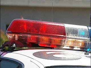 Description or Alt Text