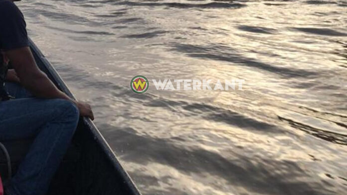 Description or Alt Text