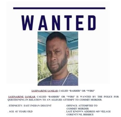 Description or Alt Text