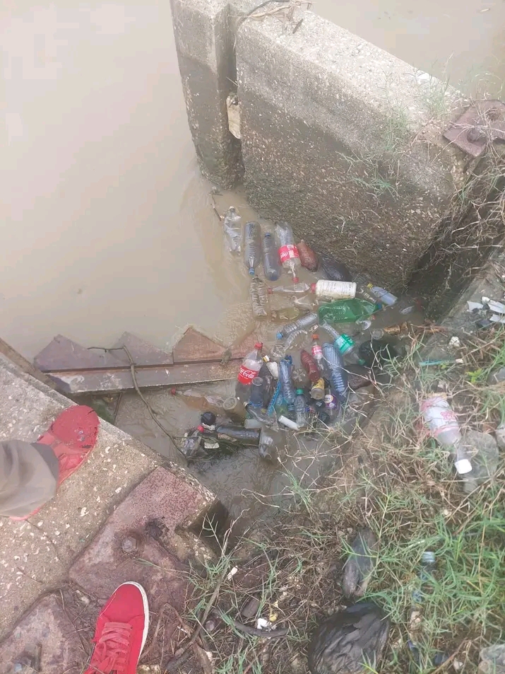 Description or Alt Text