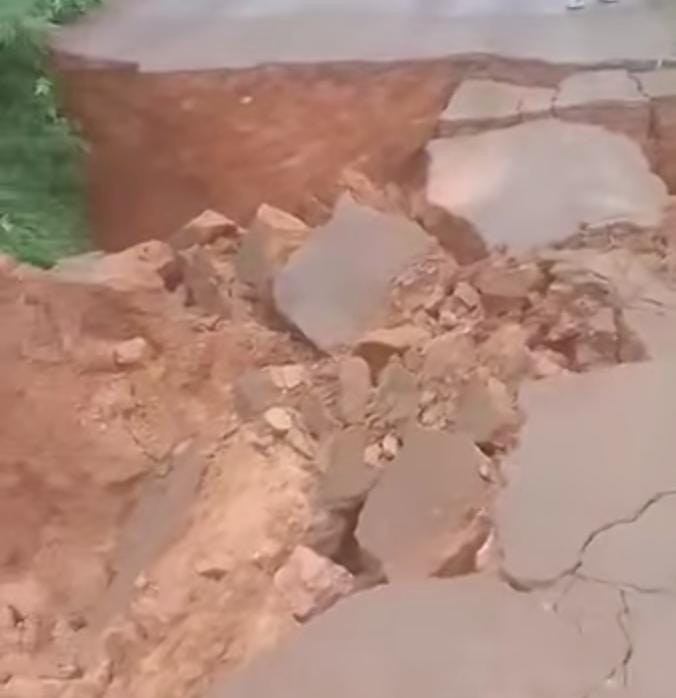 Description or Alt Text