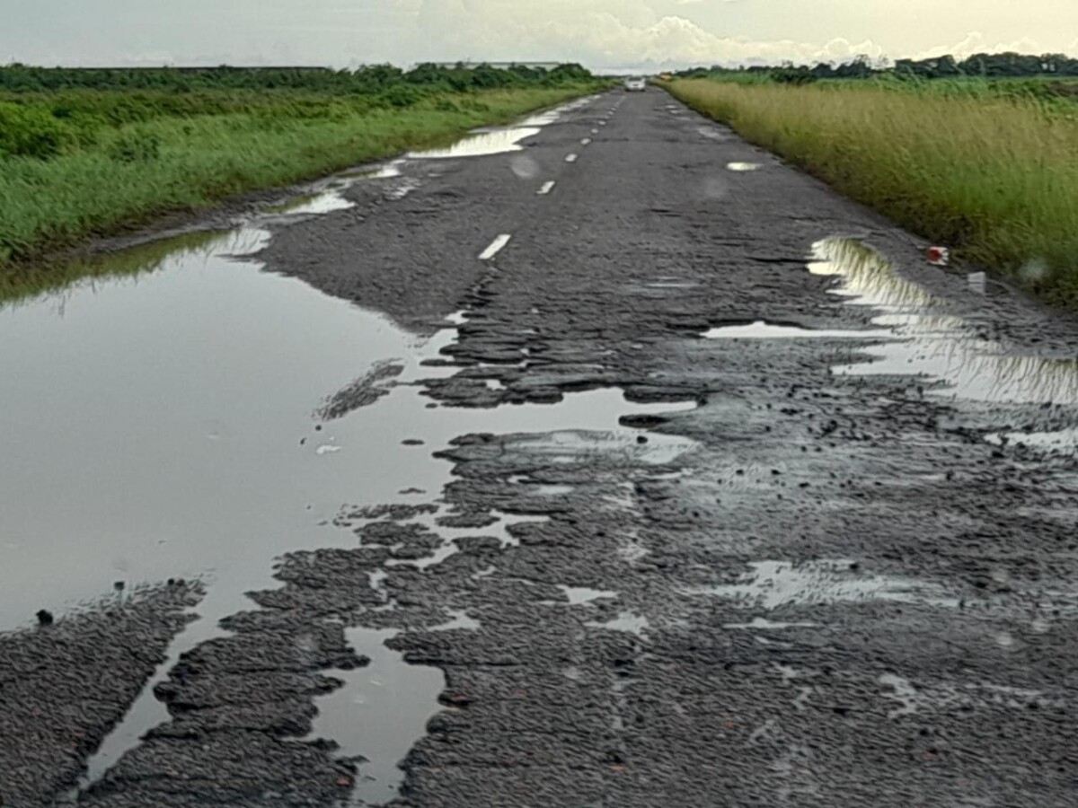 Description or Alt Text