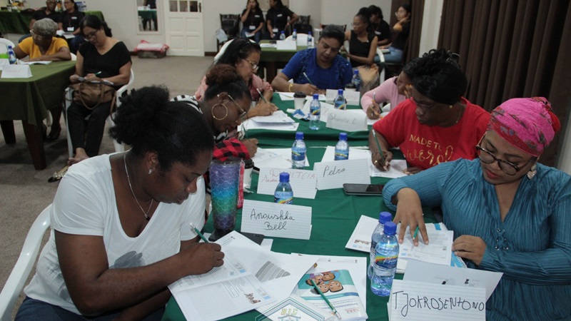 Description or Alt Text