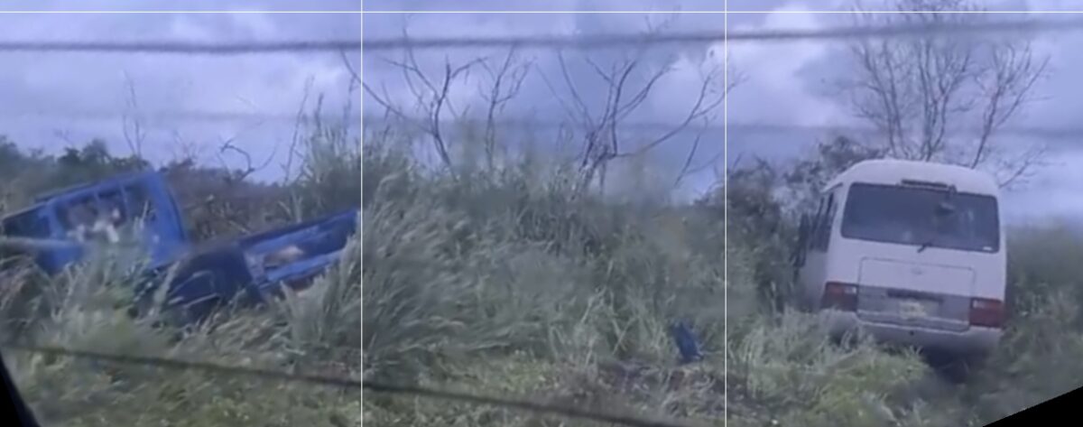 Description or Alt Text