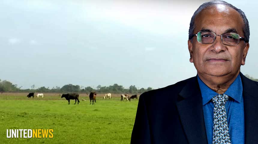 Description or Alt Text