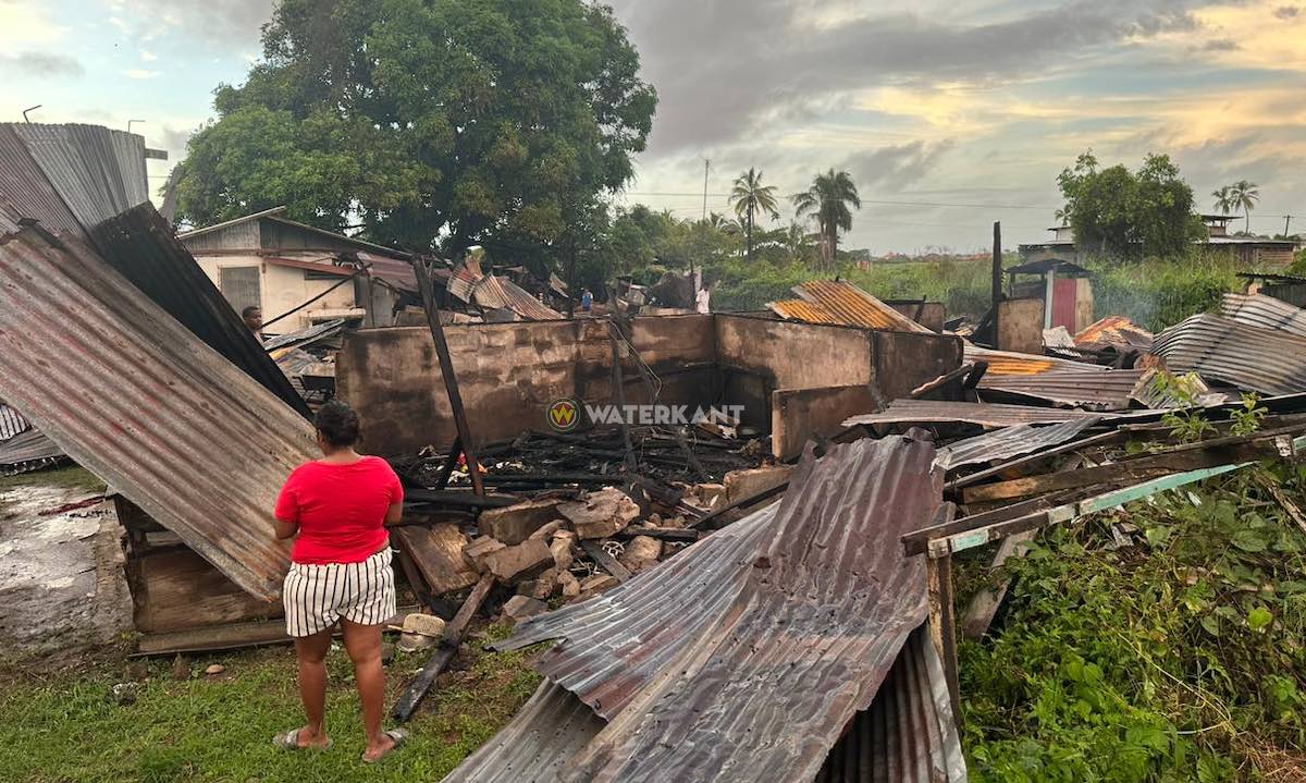 Description or Alt Text