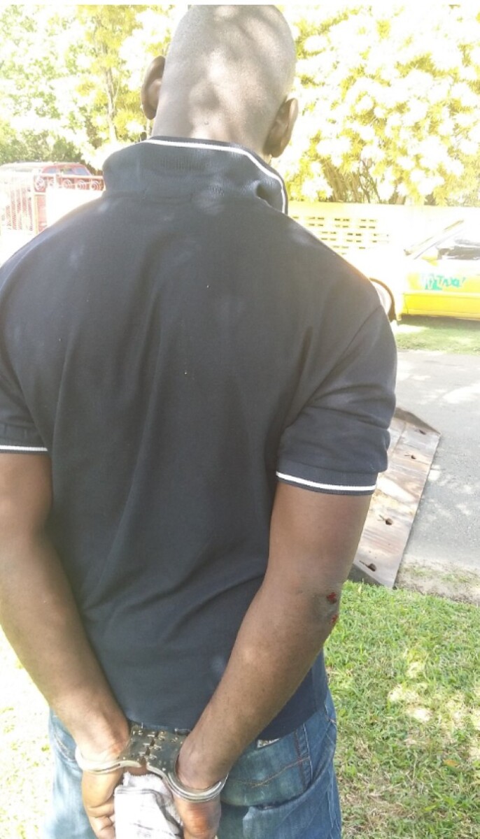 Description or Alt Text