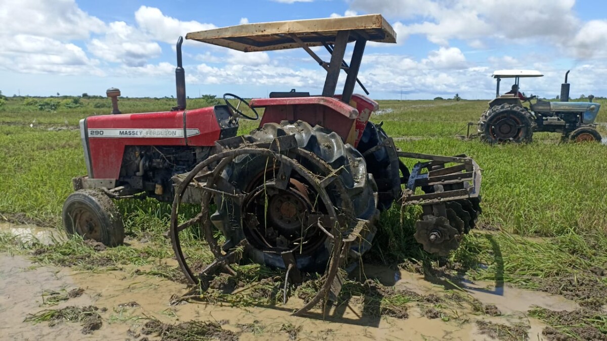 Description or Alt Text