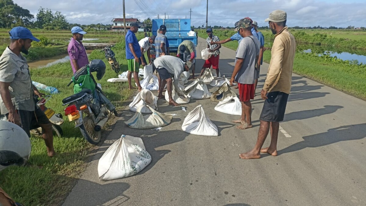 Description or Alt Text