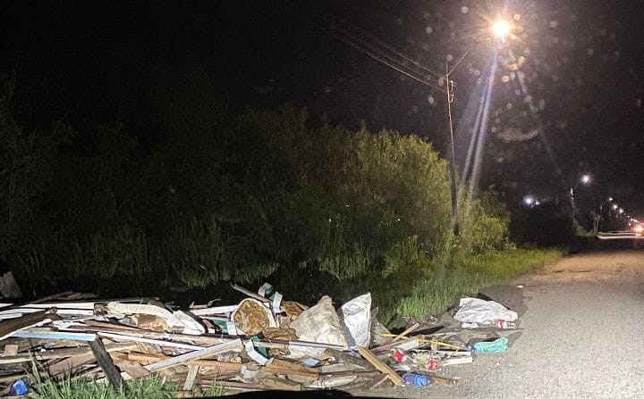 Description or Alt Text