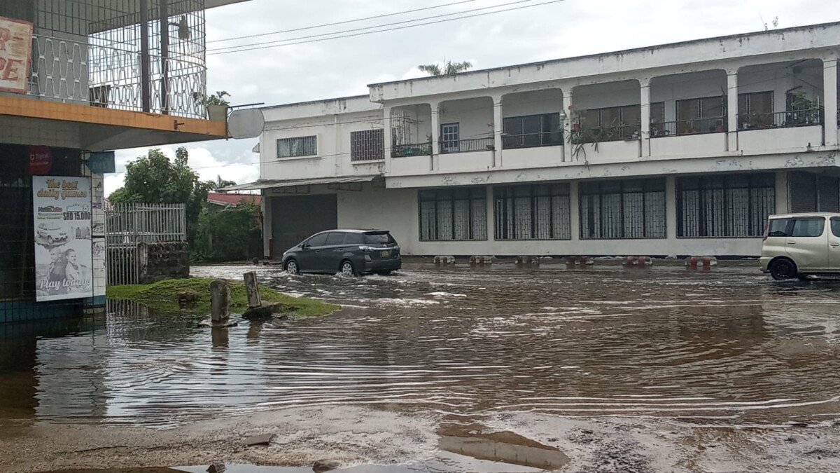 Description or Alt Text