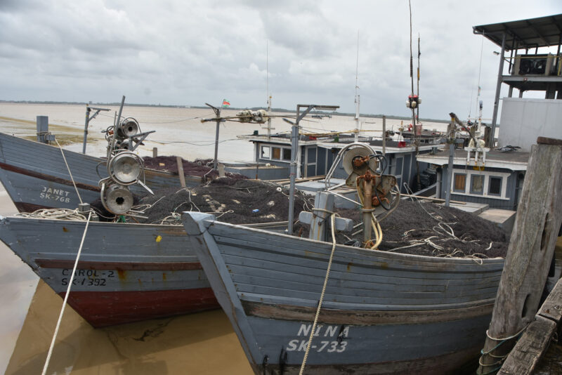 Description or Alt Text