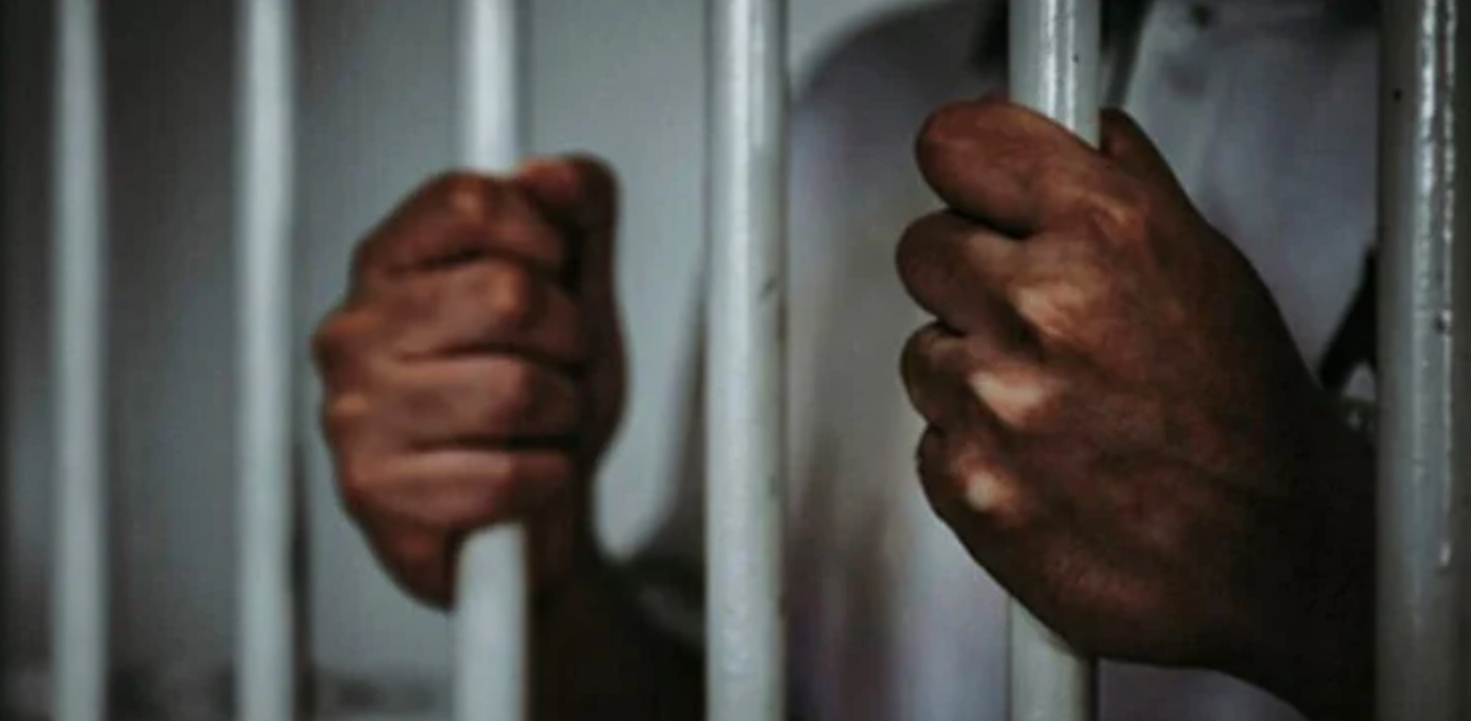 Description or Alt Text