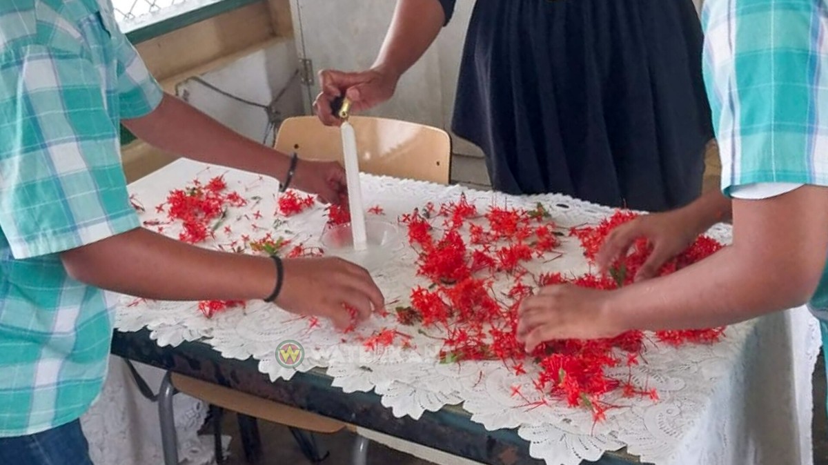 Description or Alt Text