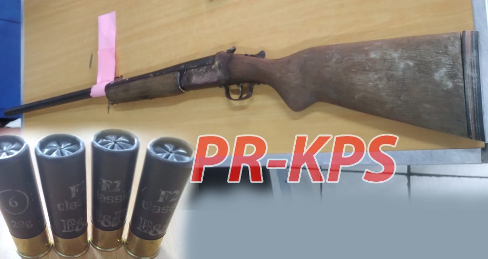 Description or Alt Text