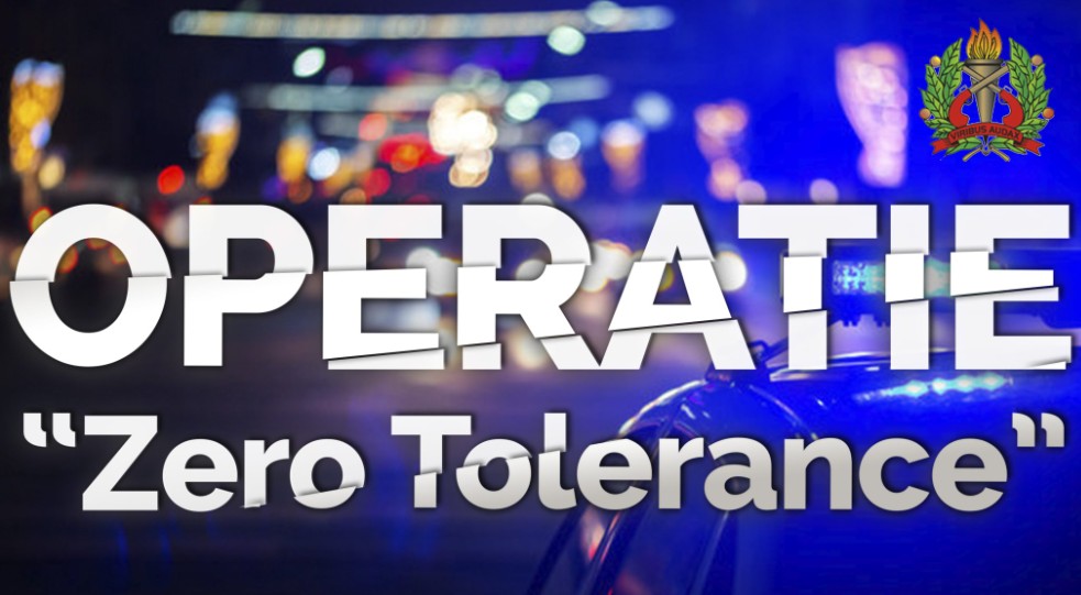 Description or Alt Text