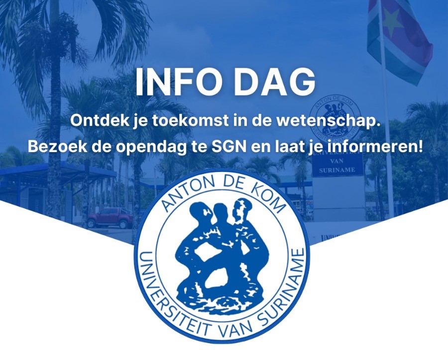 Description or Alt Text