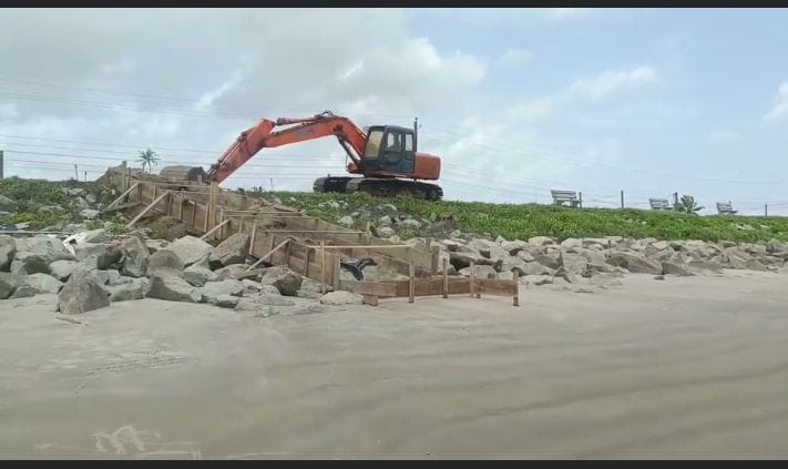 Description or Alt Text