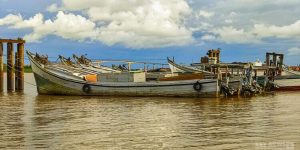 Description or Alt Text