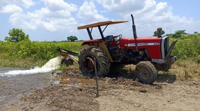 Description or Alt Text