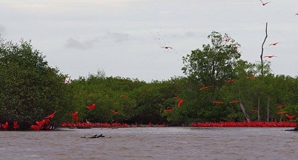 Description or Alt Text