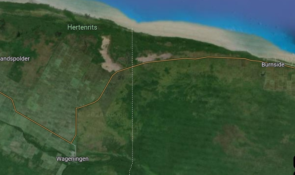 Description or Alt Text