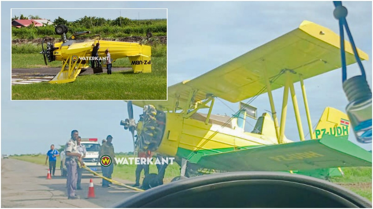 Description or Alt Text