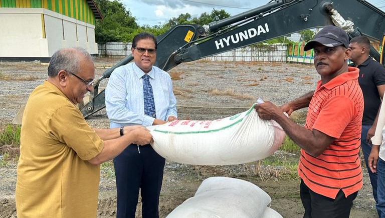 Description or Alt Text