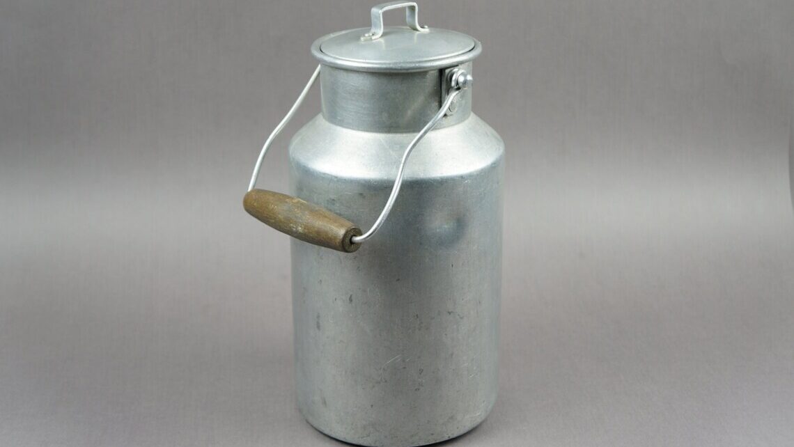 Description or Alt Text