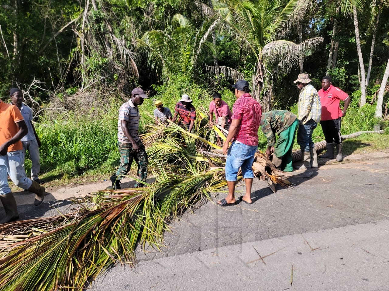 Description or Alt Text