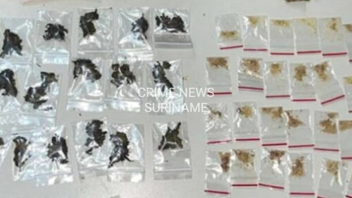 Description or Alt Text