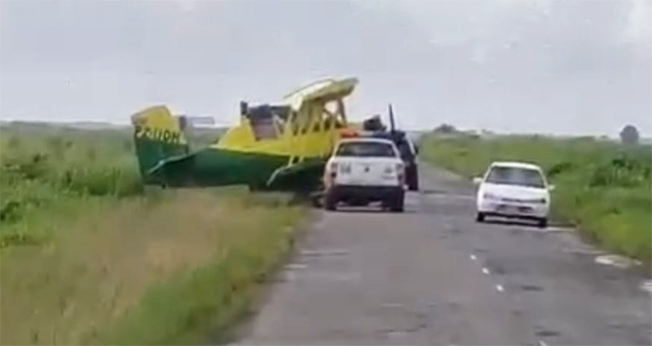 Description or Alt Text