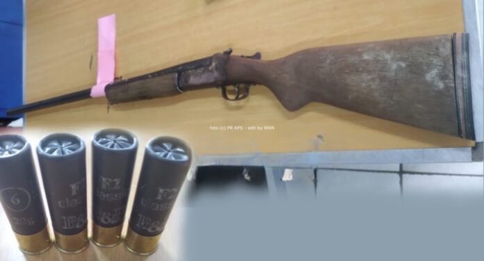 Description or Alt Text