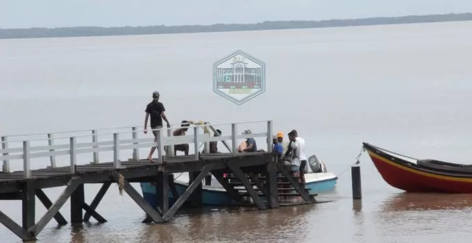 Description or Alt Text