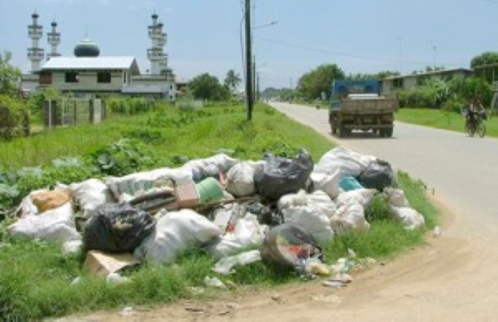 Description or Alt Text