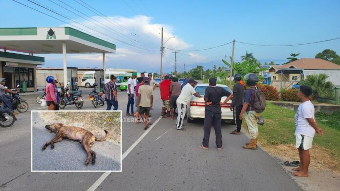 Description or Alt Text