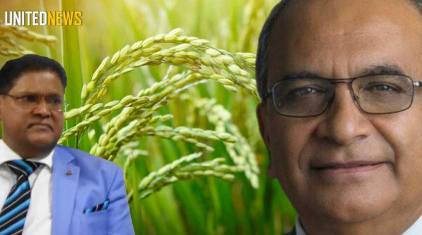 Description or Alt Text