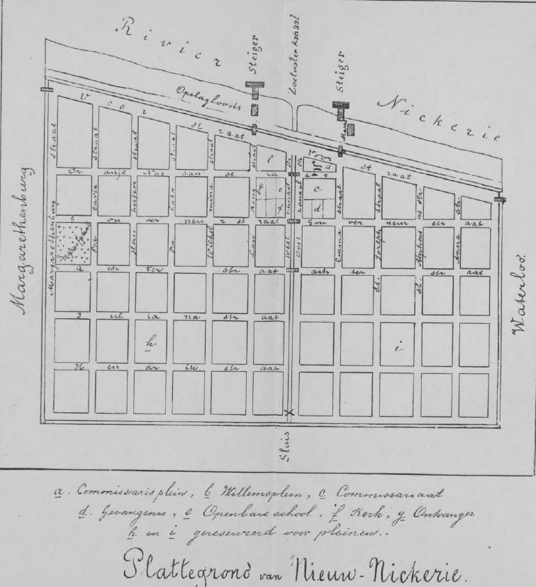 Description or Alt Text