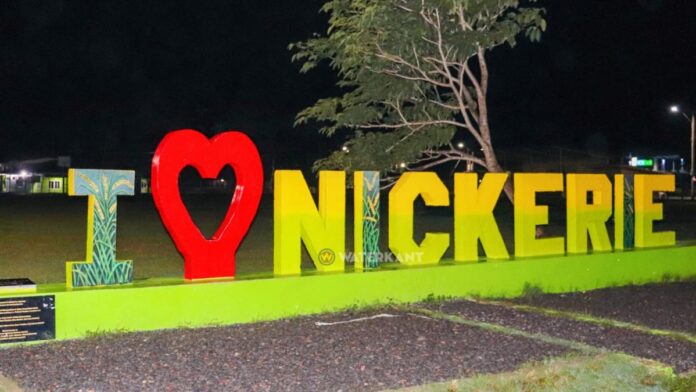 Description or Alt Text