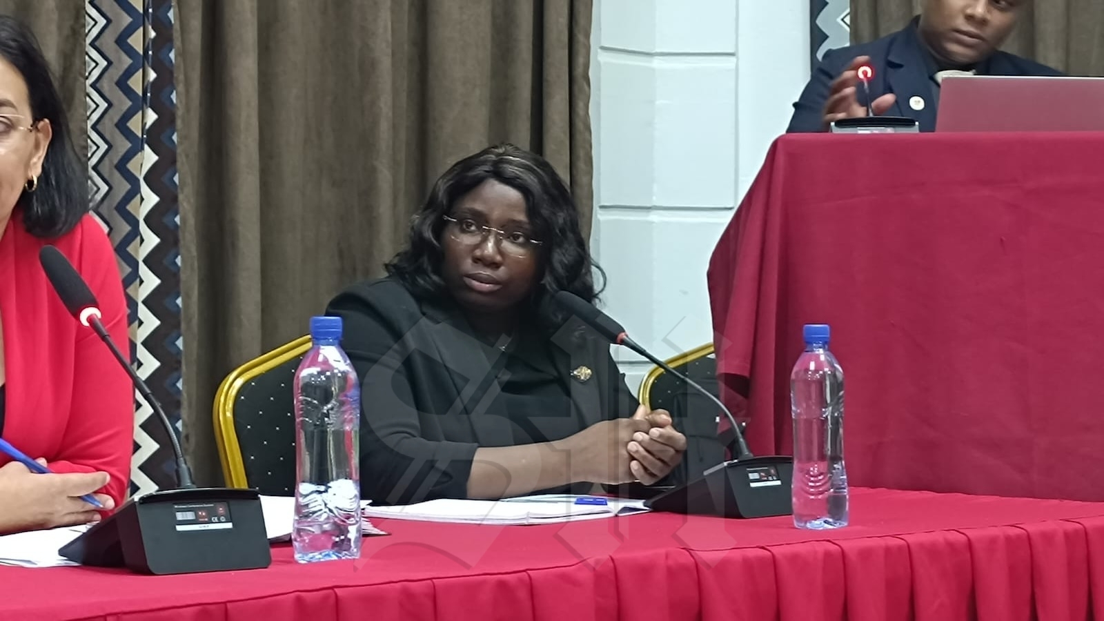 Description or Alt Text