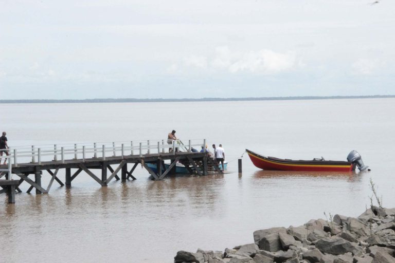 Description or Alt Text