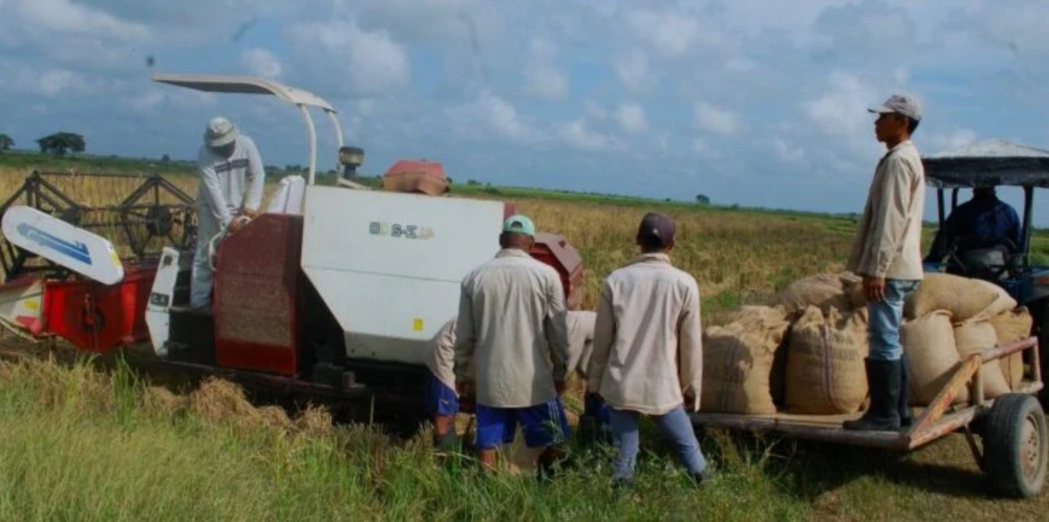 Description or Alt Text