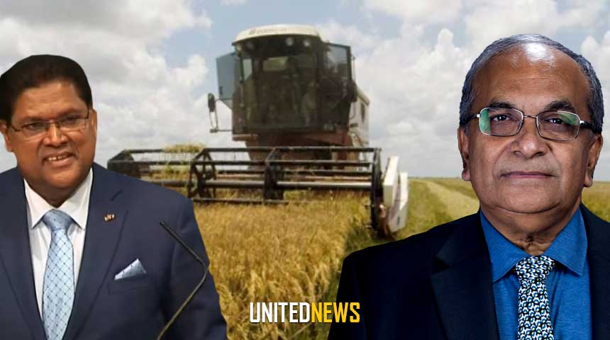 Description or Alt Text