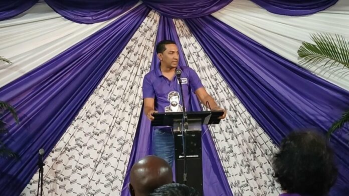 Description or Alt Text