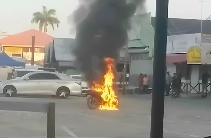 Description or Alt Text